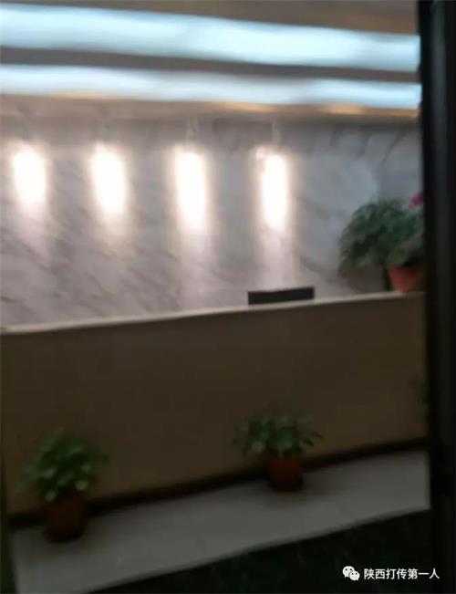 HPC健贝币疑似已崩盘 维权的尽快行动