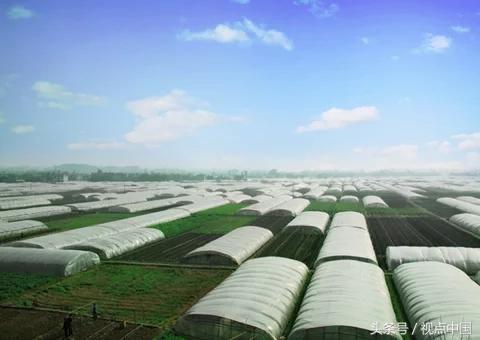 陕西三原县&ldquo;竹竿&rdquo;也得保温的判决书