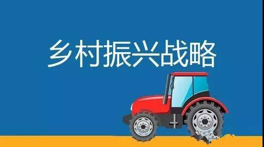 云君:“种田CEO”加快乡村振兴步伐