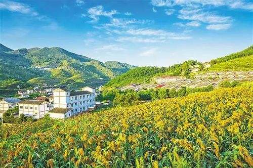 唐亦瑭：乡村振兴重在&ldquo;留住&rdquo;群众