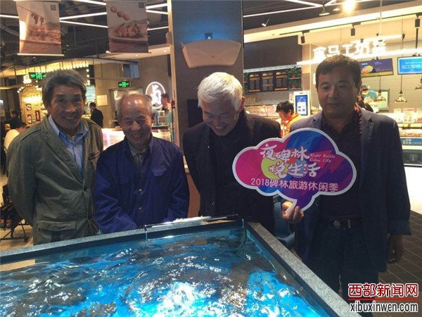 2018世界旅游日&ldquo;夜碑林&middot;悦生活&rdquo;旅游休闲季活动盛大开幕