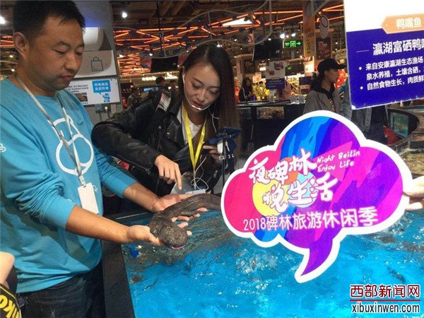 2018世界旅游日&ldquo;夜碑林&middot;悦生活&rdquo;旅游休闲季活动盛大开幕