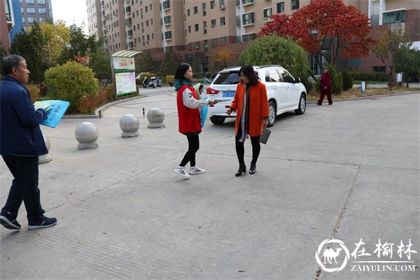榆阳区沙河路街道办联合社区开展扫黑除恶宣传活动