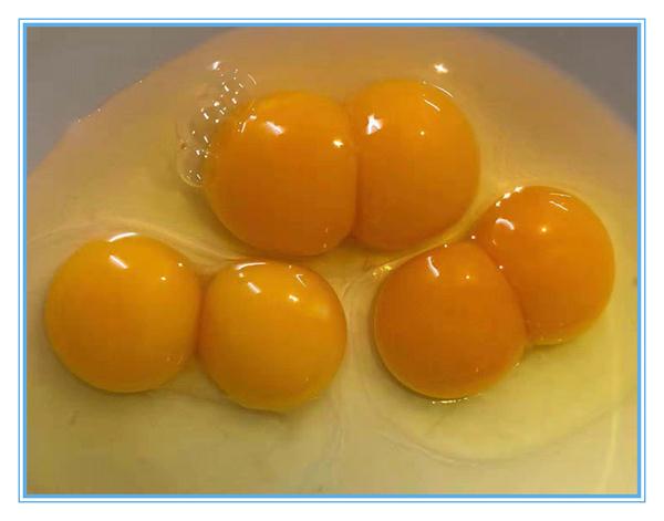 李咏病逝刷屏 康惠益佳提醒您：保卫健康 从一枚鸡蛋开始！