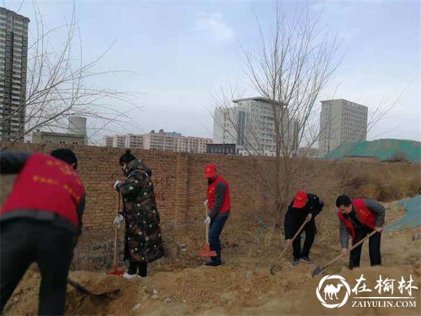 榆阳区驼峰办望湖路社区开展“清洁卫生 美化家园”主题活动