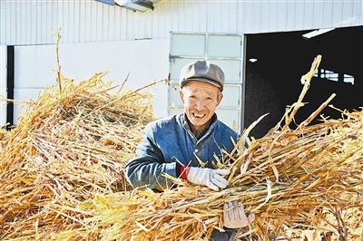 神木市栏杆堡镇西寨村走村集体经济发展道路