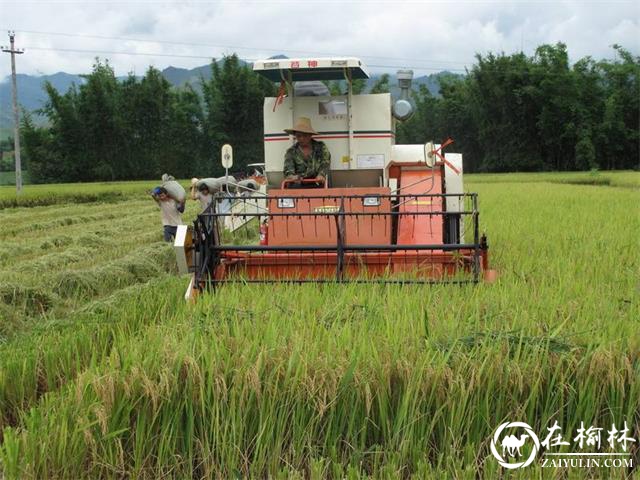 澄城县荣获全国主要农作物全程机械化示范县称号