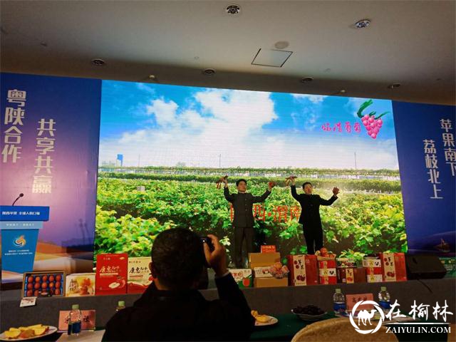 临渭果品亮相粤陕合作·2019陕西苹果粤港澳大湾区（广州）宣传推介会