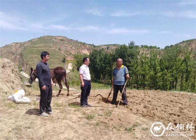 高培生（右二）深入田间地头询问贫困户春种情况
