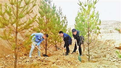 米脂县杜家石沟镇义务植树活动在树山村举行