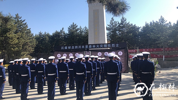 榆林烈士陵园“传承·2019清明祭英烈”系列活动