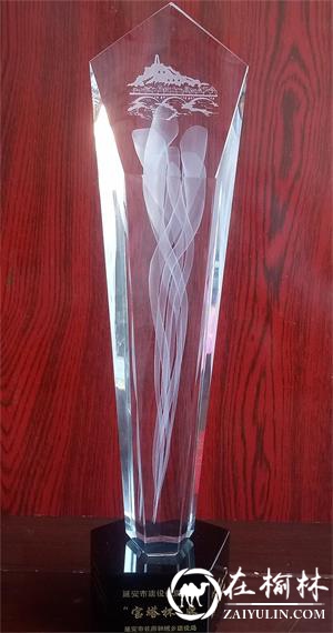 延安文兴书院项目喜获“宝塔杯”奖