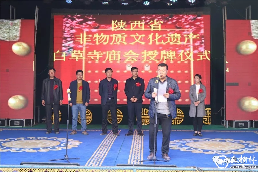 解家沟镇镇长白云慧讲话