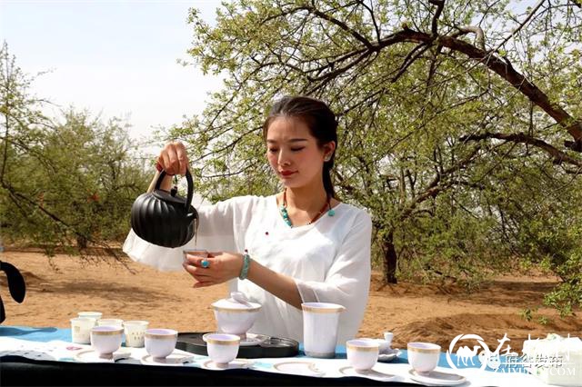 “海红花开 大美府谷”府谷海红花观赏节正式启动