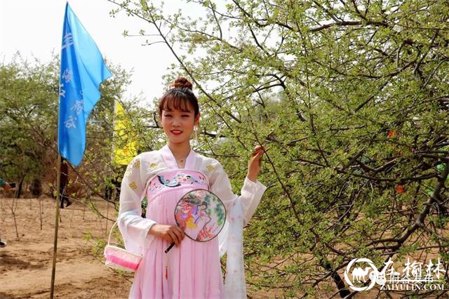 “海红花开 大美府谷”府谷海红花观赏节正式启动