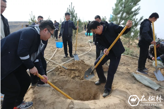 清涧县启动2019年春季义务植树活动