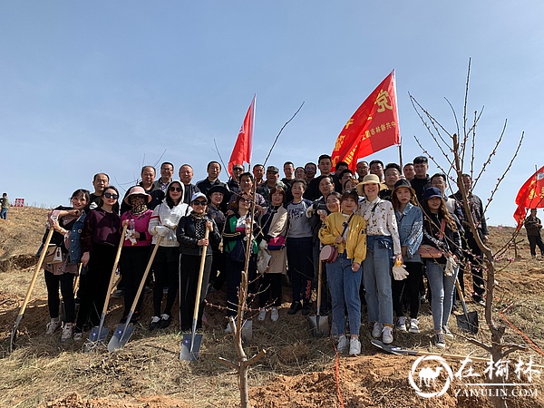 榆林市国土资源局榆阳分局组织开展参加义务植树造林活动