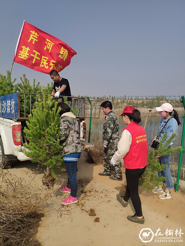 榆阳区芹河镇组织开展义务植树活动