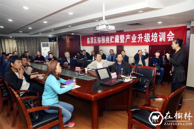 渭南市临渭区举办猕猴桃贮藏暨产业升级培训会