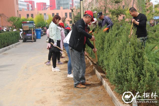 榆阳区金沙路街道金榆社区：种草栽树 为创森铺路