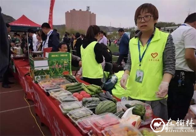 “生态农业·品味府谷”2019年府谷县农特产品推介发布会举行