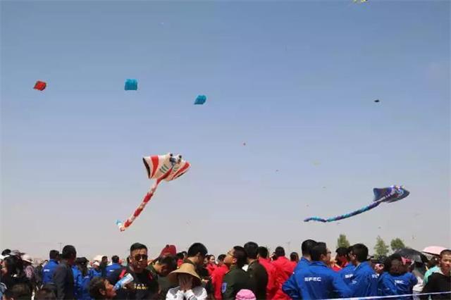 榆阳首届“风筝音乐节”：纸鸢漫天 今天我们都是做着飞翔梦的小孩