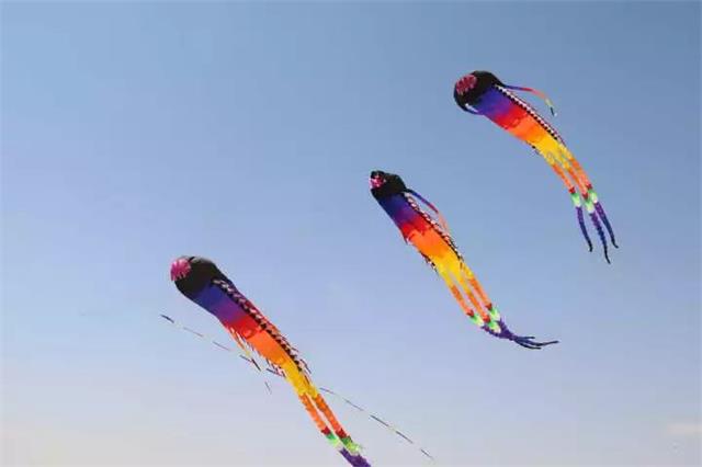 榆阳首届“风筝音乐节”：纸鸢漫天 今天我们都是做着飞翔梦的小孩