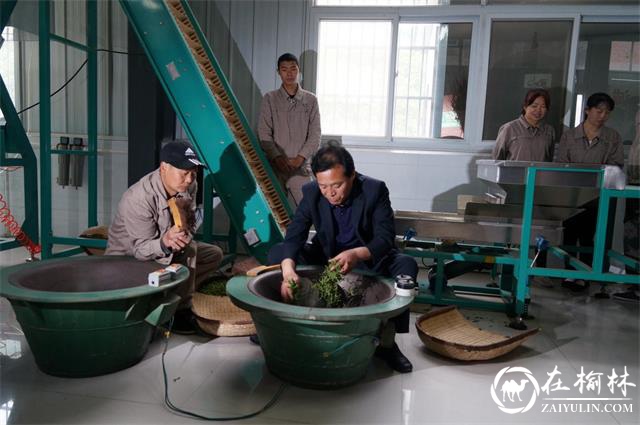 中国著名茶乡汉中西乡堰口镇第五届罗镇茗园三合村茶旅文化活动成功举办