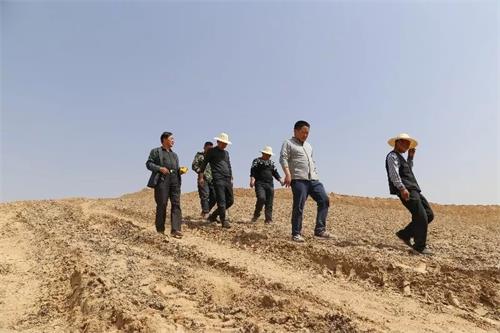 绥德县义合镇胡家沟村第一书记兼工作队长高强：一枝一叶总关情