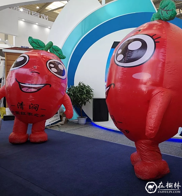 清涧县组团参加第四届丝博会