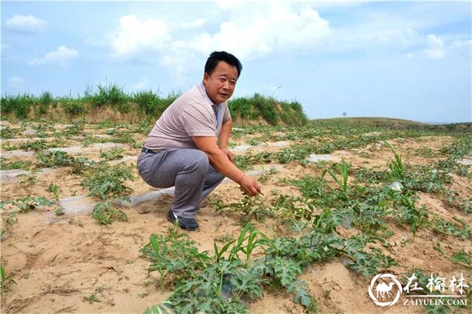 神木市栏杆堡镇西寨村党支部书记赵明秀：满怀为民之心 善谋富民之策