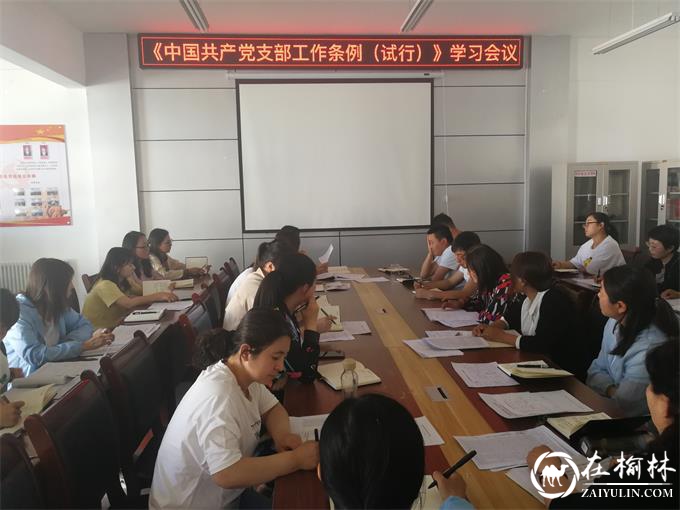 榆阳区望湖路社区组织学习《中国共产党支部工作条例（试行）》