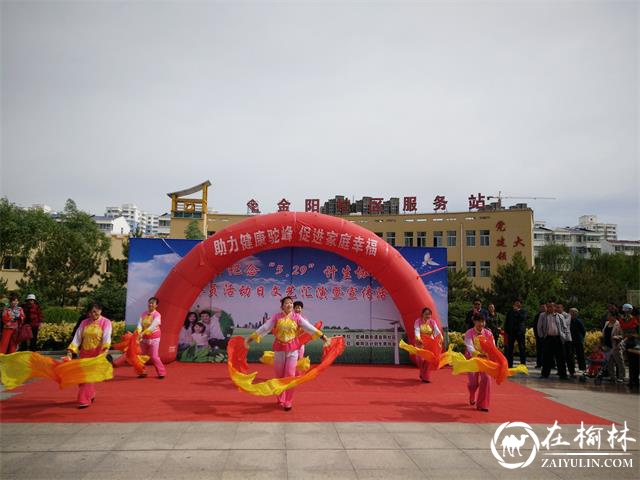 榆阳区金阳社区举办“5.29计生协会会员活动日”宣传活动