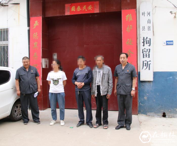 河南叶县法院开展涉金融案件集中执行专项行动