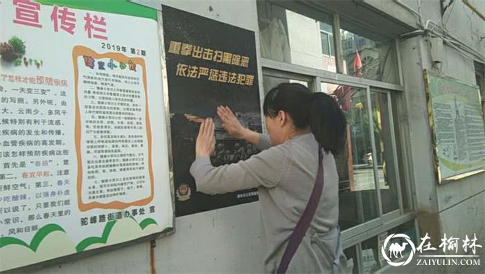 榆阳区驼峰办东岳路社区深入推进扫黑除恶工作