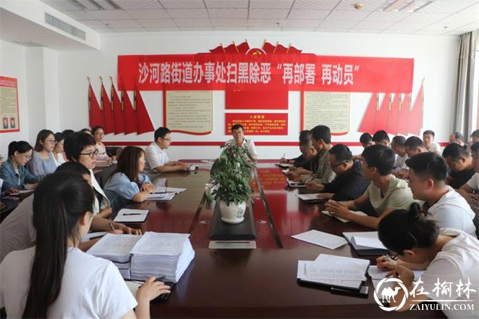 榆阳区沙河路街道办召开扫黑除恶“再部署再动员”工作推进会