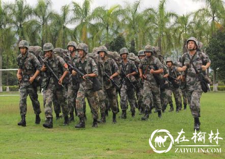 金合科技智慧军营：专注提供军队安全信息化管理整体解决方案