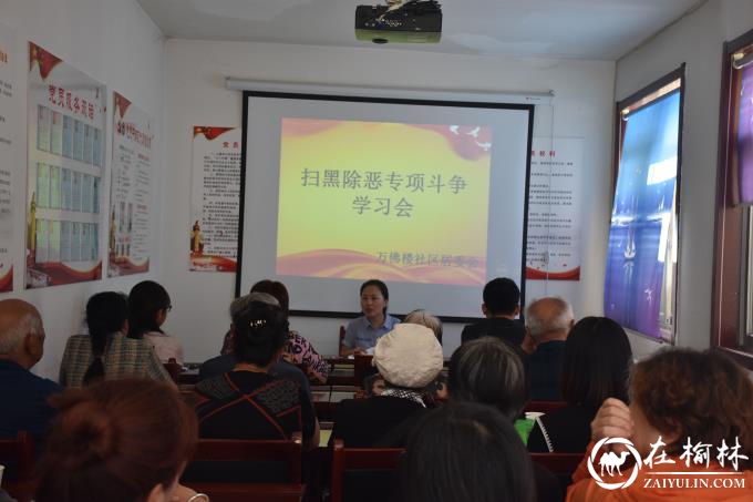 新明楼街道办事处万佛楼社区开展扫黑除恶专题学习会