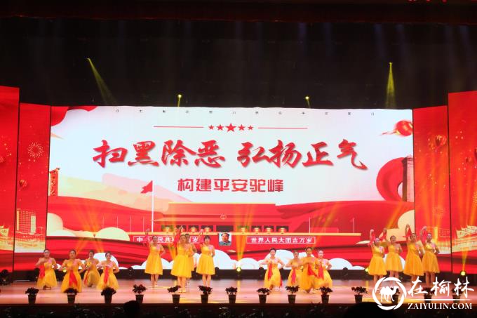 榆阳区驼峰办望湖路社区开展庆“七一”系列活动