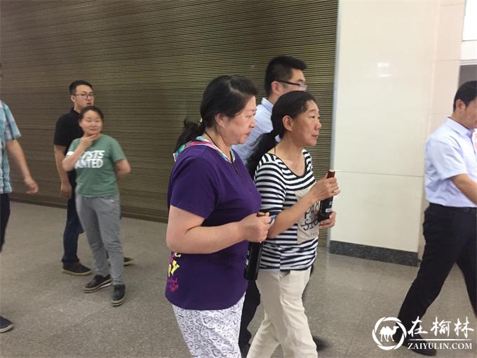 桑红庆诞辰 椹香飘万里