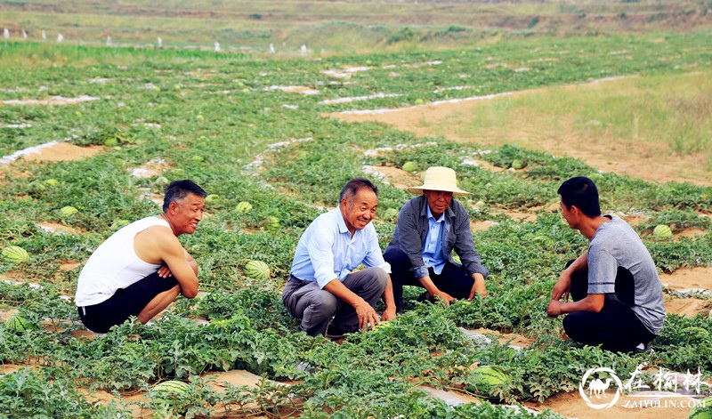 神木市栏杆堡镇：西瓜种植助力农民脱贫致富