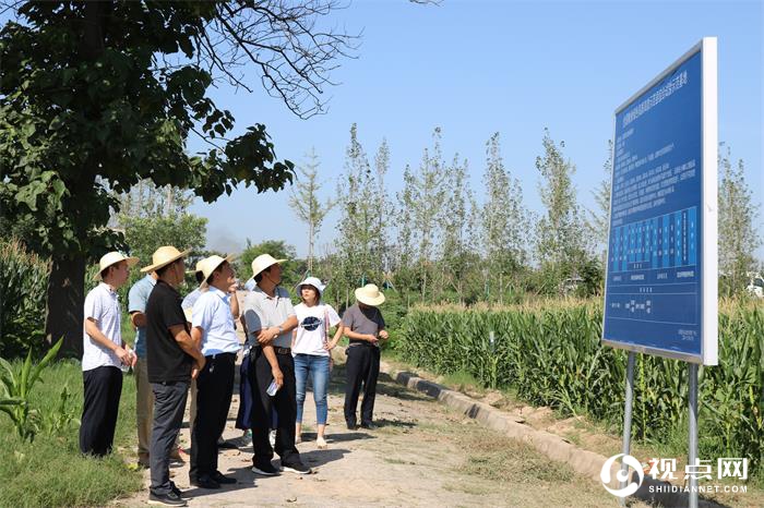 陕西省农技推广总站检查指导临渭区粮食绿色高质高效创建项目