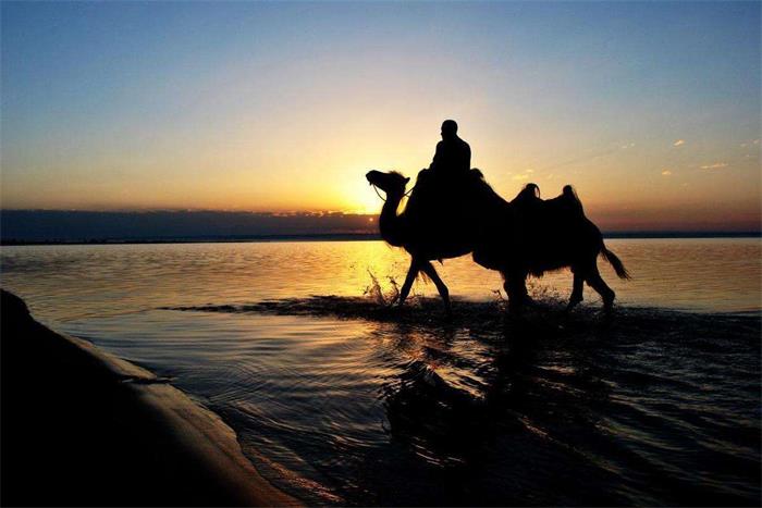 郭少艳：有月色当烛光 红碱淖便是故乡