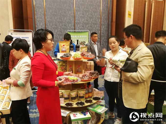 临渭区代表团参加2019国际农产品产销对接大会