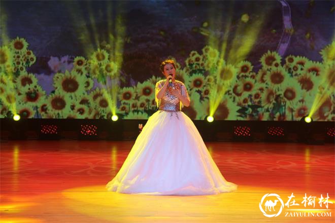 榆阳区金沙路街道金榆社区携手共驻共建单位同庆祖国70华诞