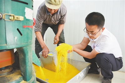 神木市兴庄村合作社发展小杂粮促群众增收（资料图片）