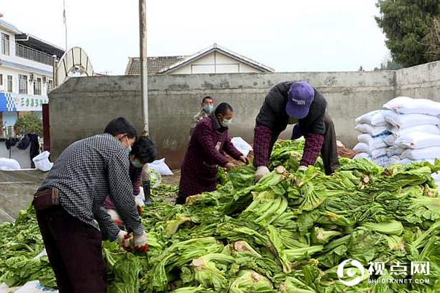 人勤春来早，四川省三台县春耕防疫两手抓两不误