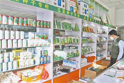 种子经销店备种充足