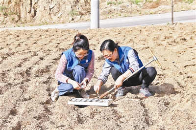 3月8日，横山区气象服务人员正在进行土壤墒情监测。