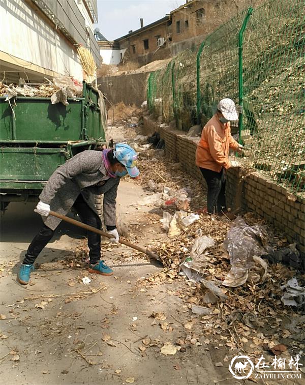 芹涧路社区春季环境卫生整治：支部引领、党员先行，居民参与共建美好家园